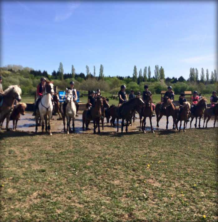 VENEZ PROFITER DE NOS PROMENADES &Agrave; CHEVAL OU EN CAL&Egrave;CHE DANS LES VIGNES